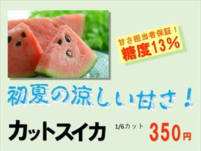 資料スイカのPOP