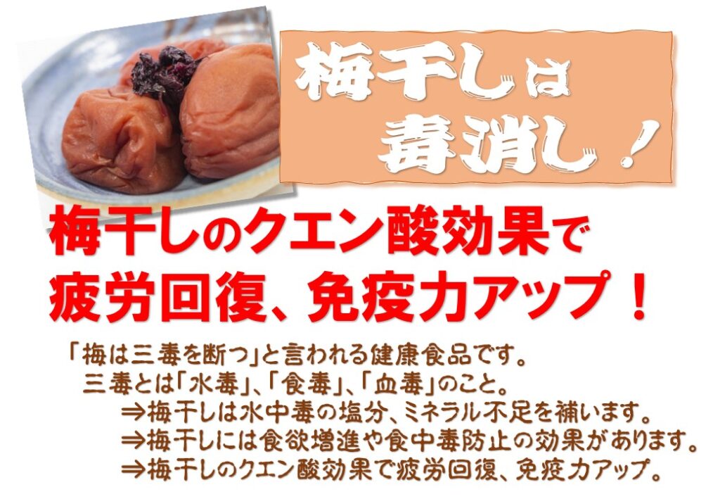 梅干し販促POP例 (2)