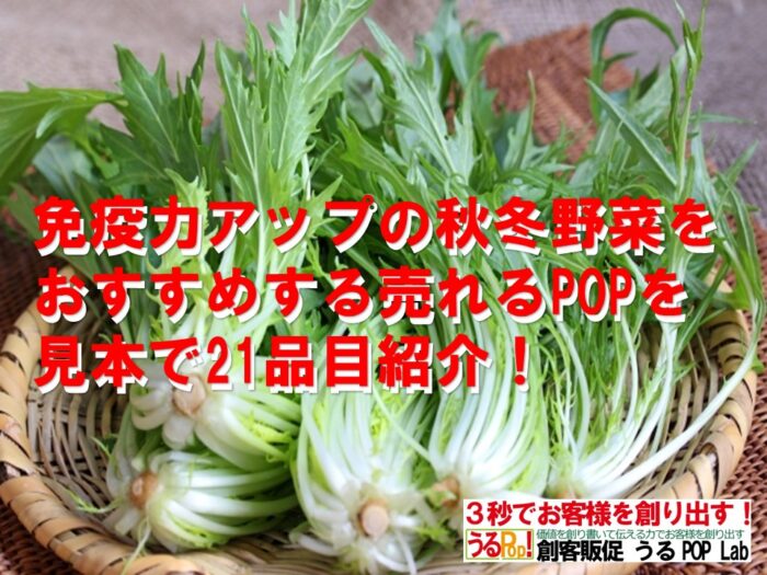 アイコン画像免疫力アップの秋冬野菜をおすすめする売れるPOPを見本で21品目紹介！