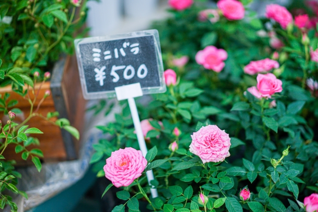 よく売れて繁盛する花屋さんがpopを書く理由や書くポイントは何 うるpop