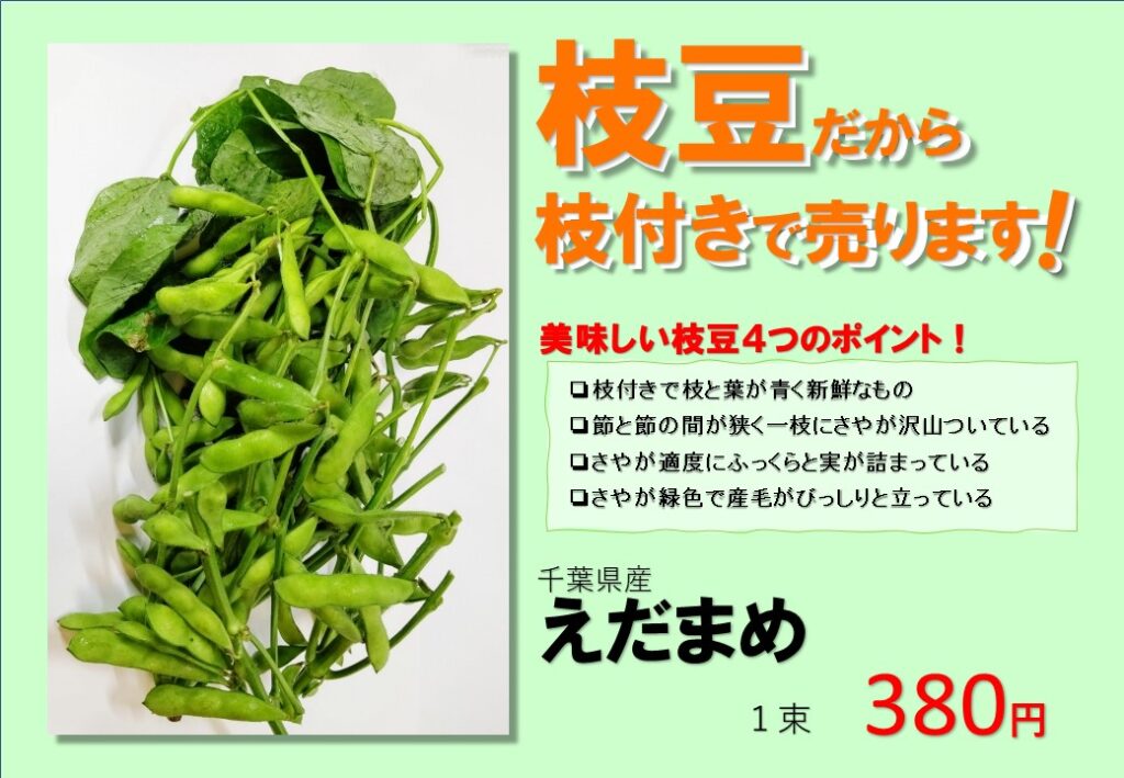 枝豆のPOP (1)